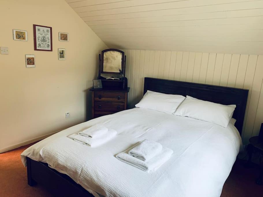Trinity Annexe An Adorable First Floor Light And Lofty Space Within An Aonb Godmanstone Exterior foto